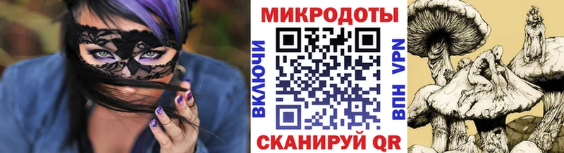 Купить  Черемхово  Галлюциногенные грибы GOLDEN TEACHER 